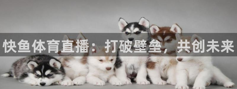 833足球比赛直播高清：快鱼体育直播：打破壁垒，共创未来