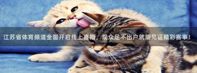 833足球比赛直播：江苏省体育频道全面开启线上直播，观众足不出户就能见证精彩赛事！