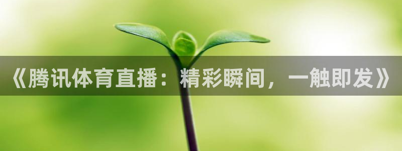 833直播体育nba：《腾讯体育直播：精彩瞬间，一触即发》