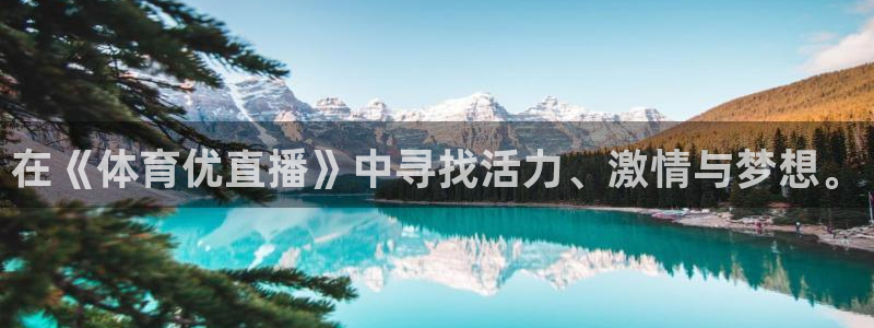 833免费看球直播：在《体育优直播》中寻找活力、激情与梦想。