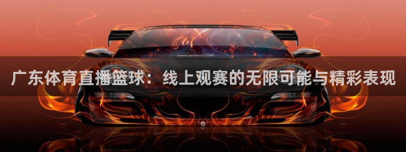 833篮球直播比赛在线观看：广东体育直播篮球：线上观赛的无限可能与精彩表现