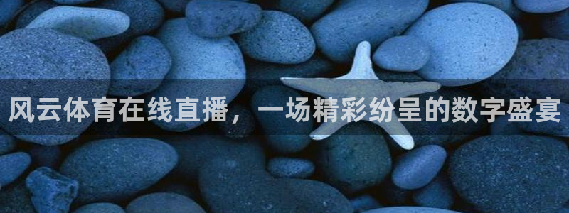 833体育赛事直播app：风云体育在线直播，一场精彩纷呈的数字盛宴