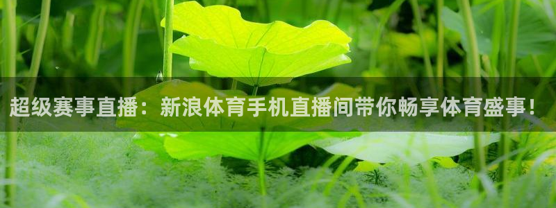 833体育直播观看：超级赛事直播：新浪体育手机直播间带你畅享体育盛事！