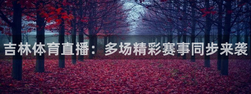 833足球直播免费完整：吉林体育直播：多场精彩赛事同步来袭