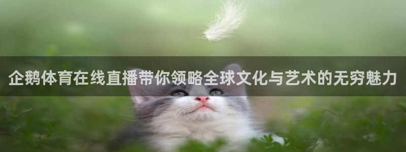 833直播比赛在线观看：企鹅体育在线直播带你领略全球文化与艺术的无穷魅力