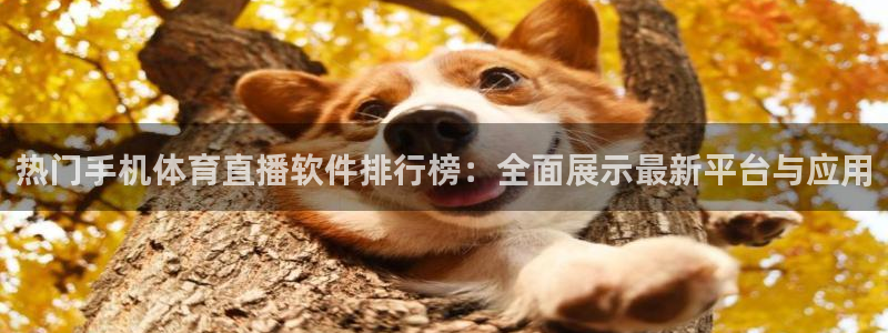 833体育免费直播入口：热门手机体育直播软件排行榜：全面展示最新平台与应用
