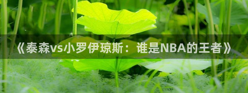 833直播足球：《泰森vs小罗伊琼斯：谁是NBA的王者》