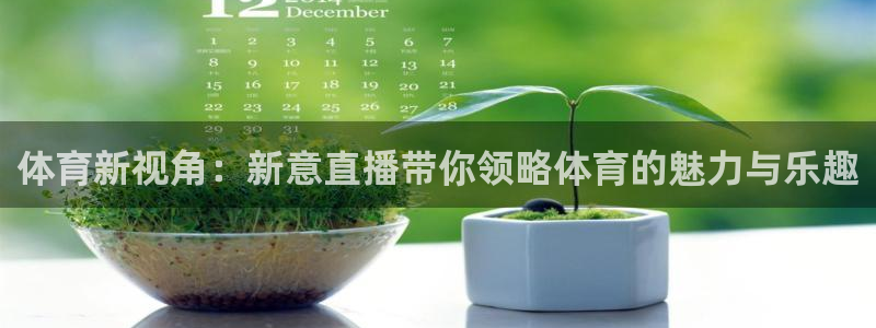 球帝833直播：体育新视角：新意直播带你领略体育的魅力与乐趣
