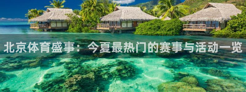 足球比赛直播间833