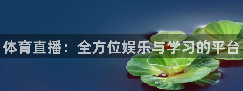 833篮球直播在线直播观看免费
