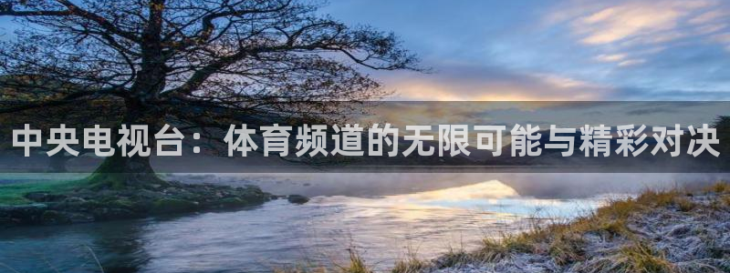 833足球直播免费直播