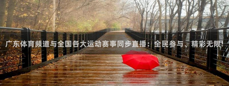 833免费看球直播：广东体育频道与全国各大运动赛事同步直播：全民参与、精彩无限!
